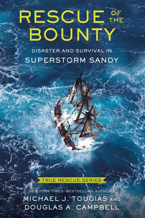 True Rescue 6: Disaster and Survival in Superstorm Sandy (True Rescue Series)
