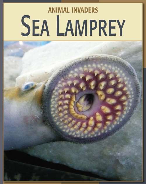 Book cover of Sea Lamprey (Animal Invaders)