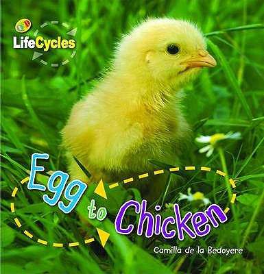 Book cover of Egg To Chicken