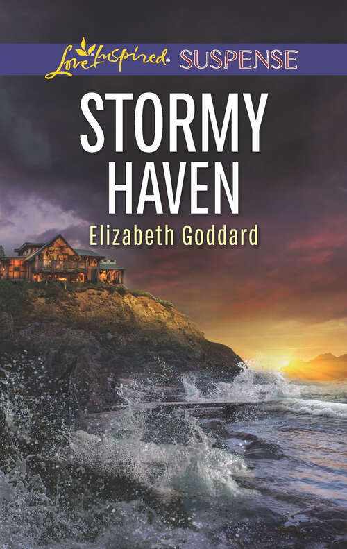Stormy Haven: Stormy Haven Lethal Legacy Defense Breach (Coldwater Bay Intrigue)