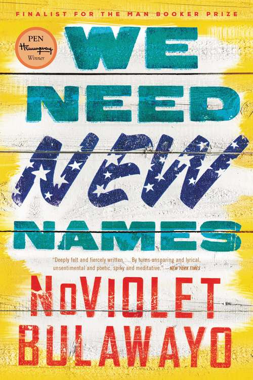 Book cover of We Need New Names