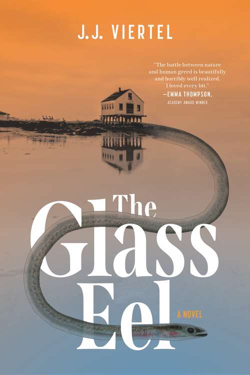 Book cover of The Glass Eel