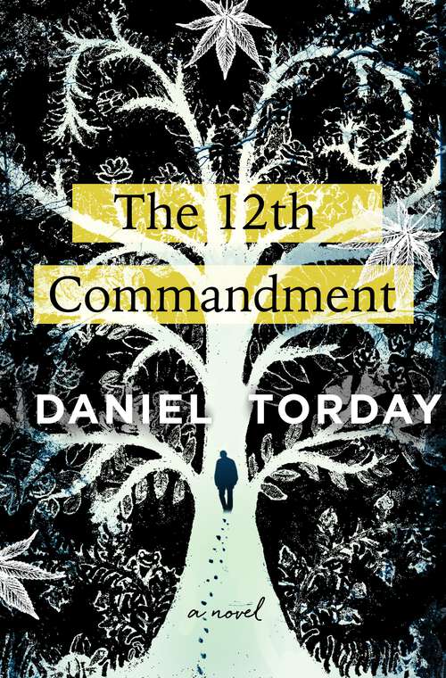 Book cover of The 12th Commandment: A Novel