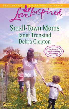 Book cover of Small-Town Moms: A Dry Creek Family / A Mother for Mule Hollow