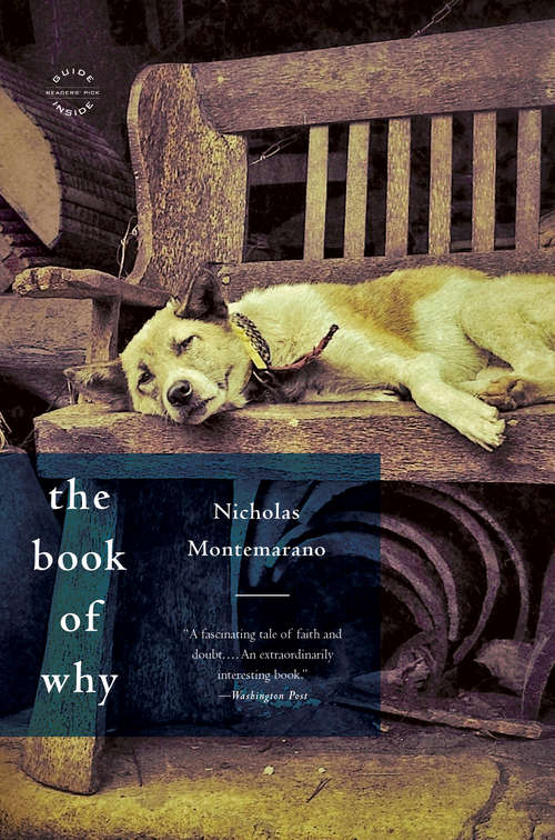 Book cover of The Book of Why