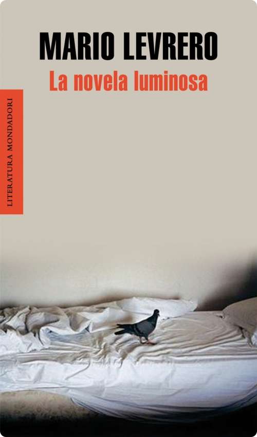 Book cover of La novela luminosa