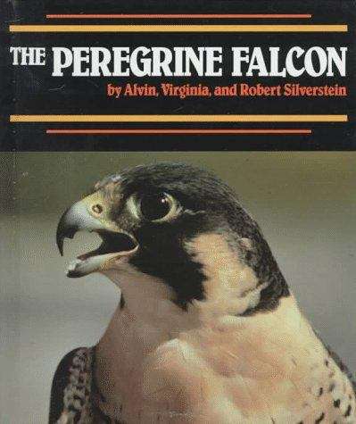 The Perigrine Falcon (Endangered In America)