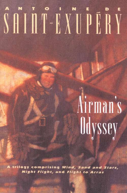 Book cover of Airman's Odyssey