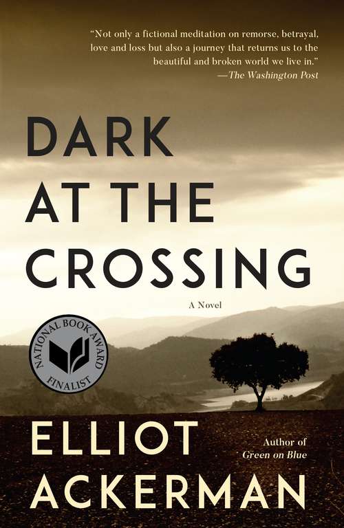 Book cover of Dark at the Crossing: A novel
