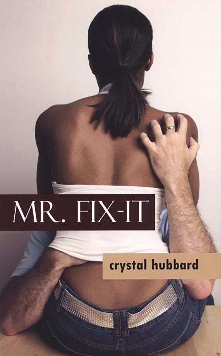 Book cover of Mr. Fix-It