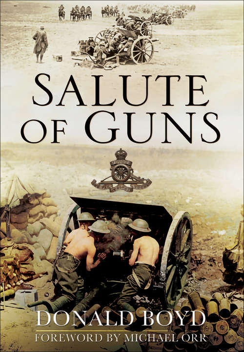 Book cover of Salute of Guns