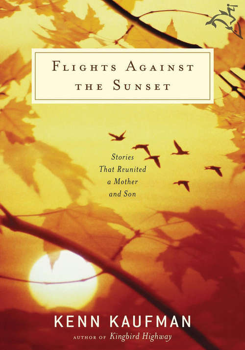 Book cover of Flights Against the Sunset: Stories that Reunited a Mother and Son