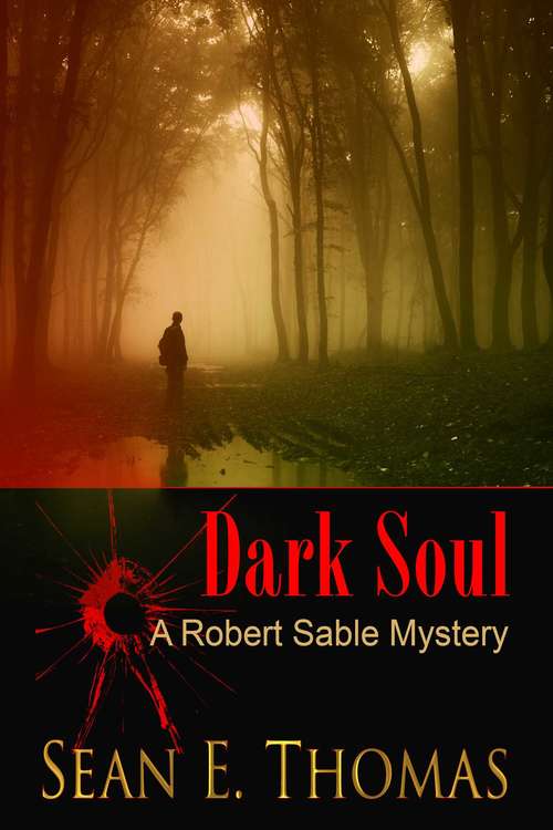 Dark Soul: A Robert Sable Mystery