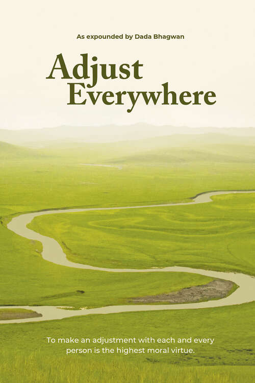 Book cover of Adjust Everywhere