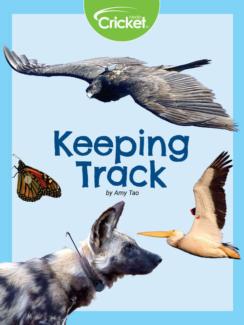 Book cover of Keeping Track