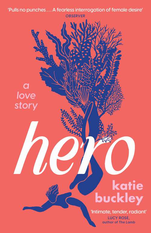 Book cover of Hero: A fierce and captivating literary love story for 2025