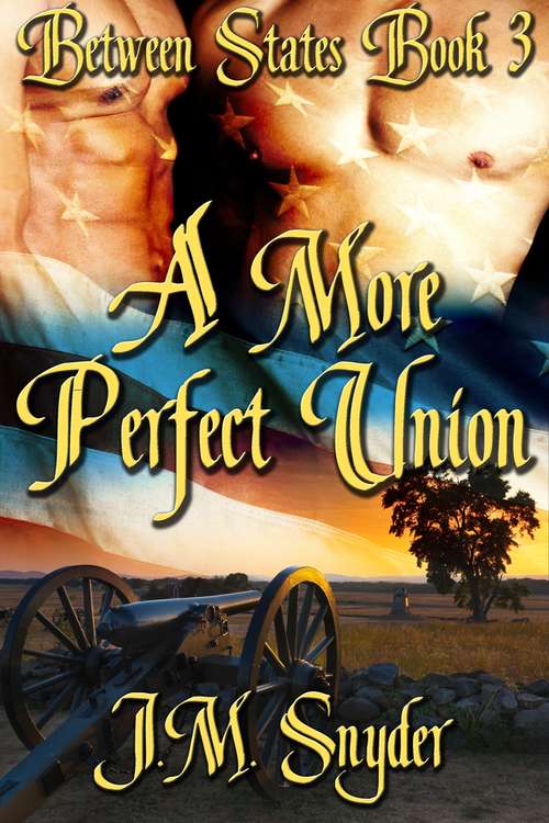 Book cover of A More Perfect Union (Between States #3)