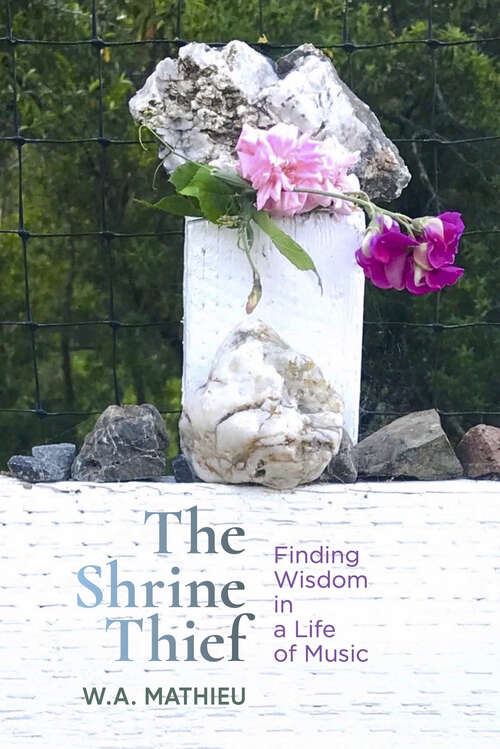 Book cover of The Shrine Thief
