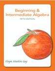Beginning & Intermediate Algebra (Fifth Edition)