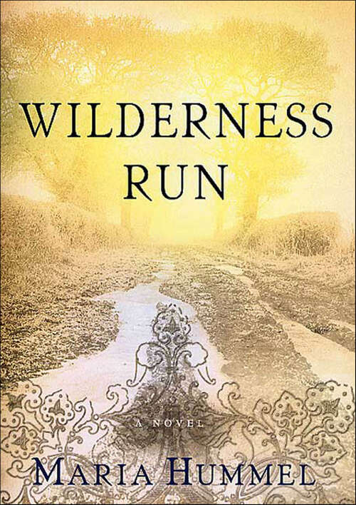 Book cover of Wilderness Run: A Novel