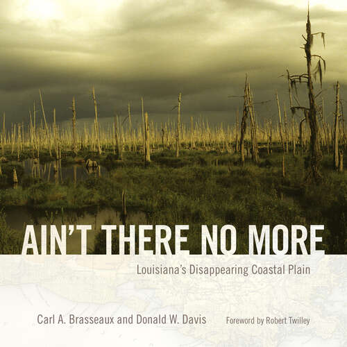 Book cover of Ain't There No More: Louisiana's Disappearing Coastal Plain (EPUB Single) (America's Third Coast Series)