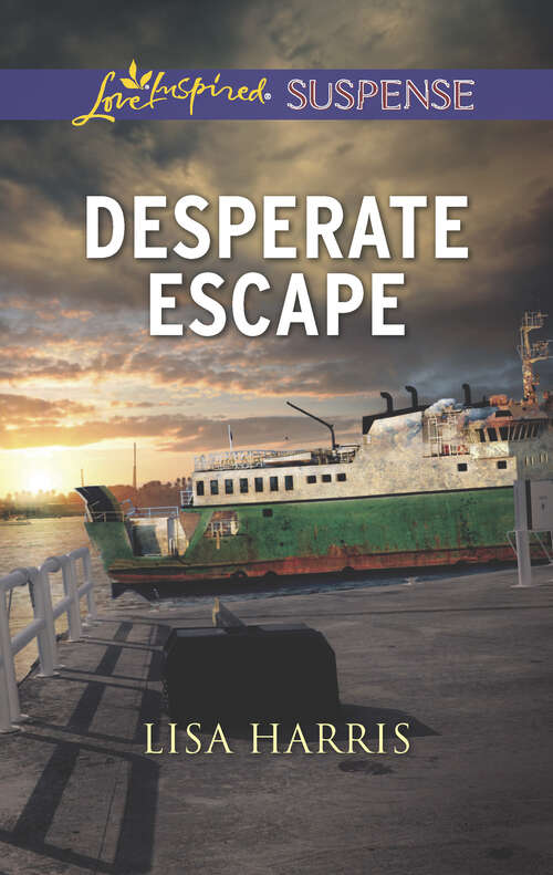 Book cover of Desperate Escape