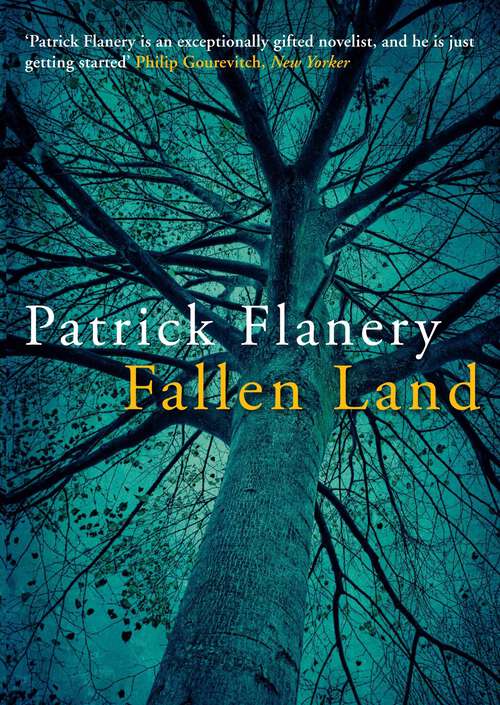 Book cover of Fallen Land