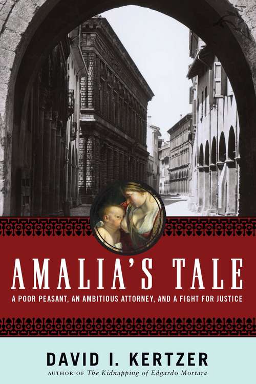 Book cover of Amalias Tale