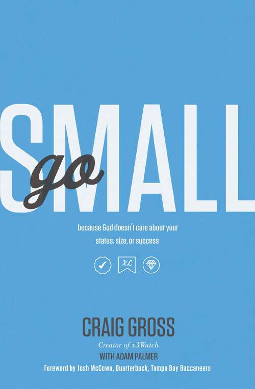 Book cover of Go Small