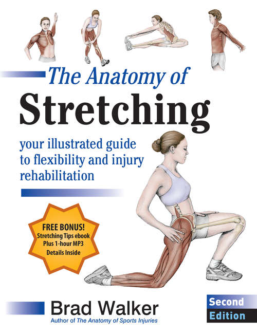 Book cover of The Anatomy of Stretching, Second Edition