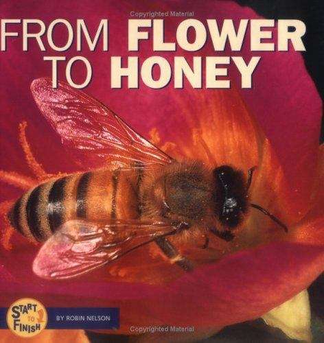 Book cover of From Flower to Honey (Start to Finish)
