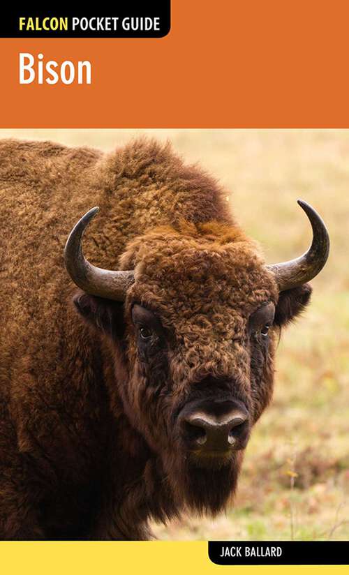Book cover of Bison (1st Edition) (Falcon Pocket Guides)