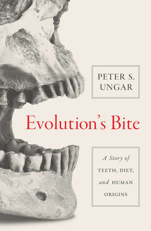 Evolution's Bite: A Story of Teeth, Diet, and Human Origins
