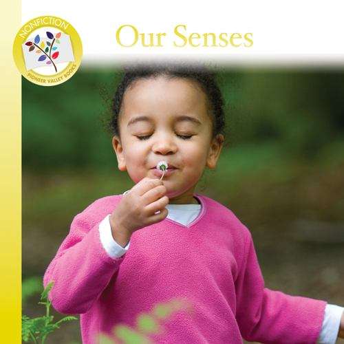 Book cover of Our Senses