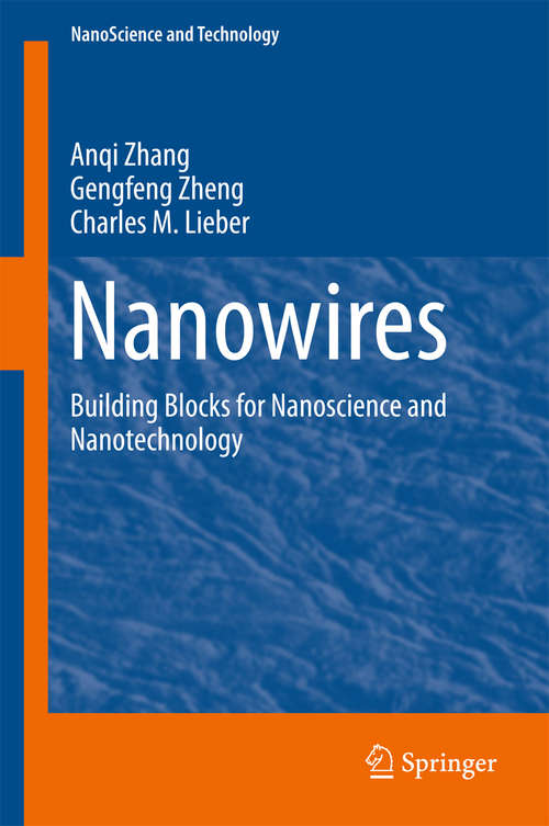 Book cover of Nanowires