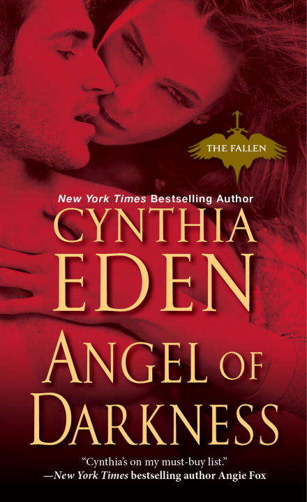 Book cover of Angel of Darkness