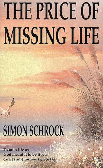 Book cover of Price of Missing Life, The