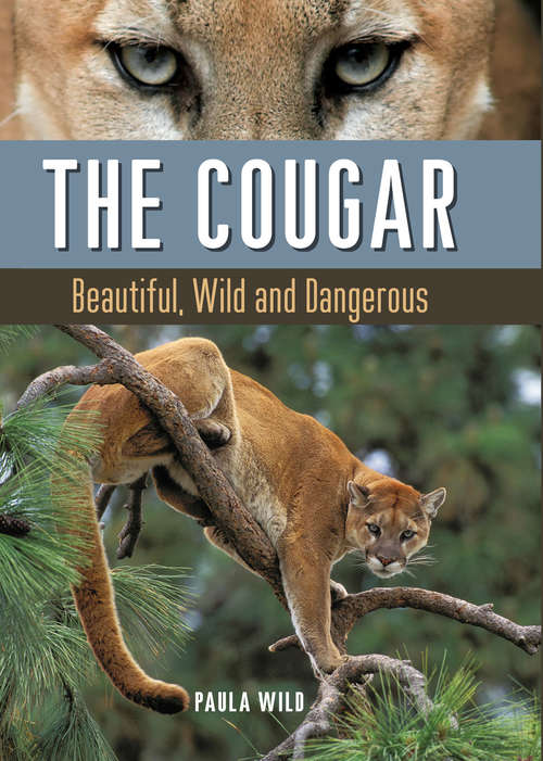 Book cover of The Cougar