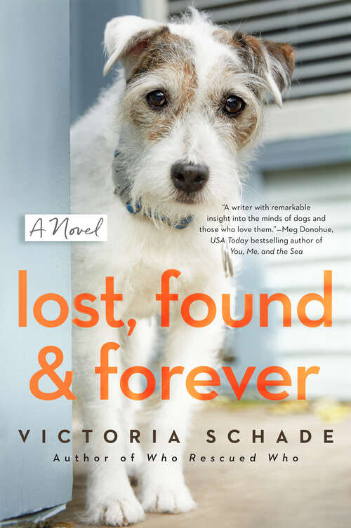Book cover of Lost, Found, and Forever