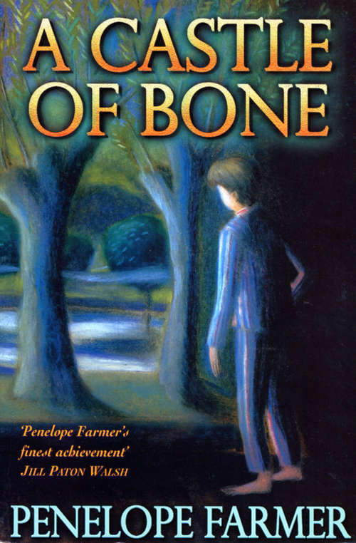 Book cover of A Castle Of Bone