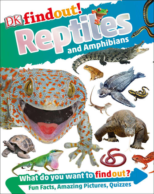 Book cover of DKfindout! Reptiles and Amphibians (DK findout!)