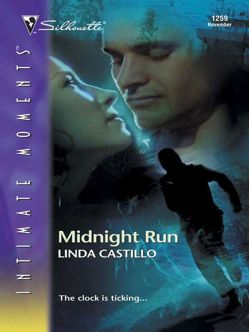 Book cover of Midnight Run