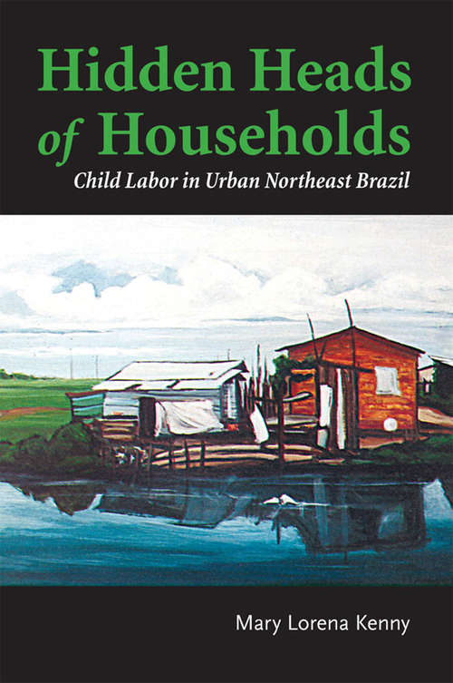 Book cover of Hidden Heads of Households: Child Labor In Urban Northeast Brazil (Teaching Culture: Utp Ethnographies For The Classroom Ser.)