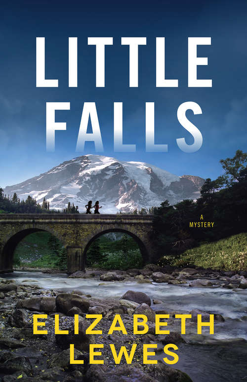 Book cover of Little Falls: A Novel