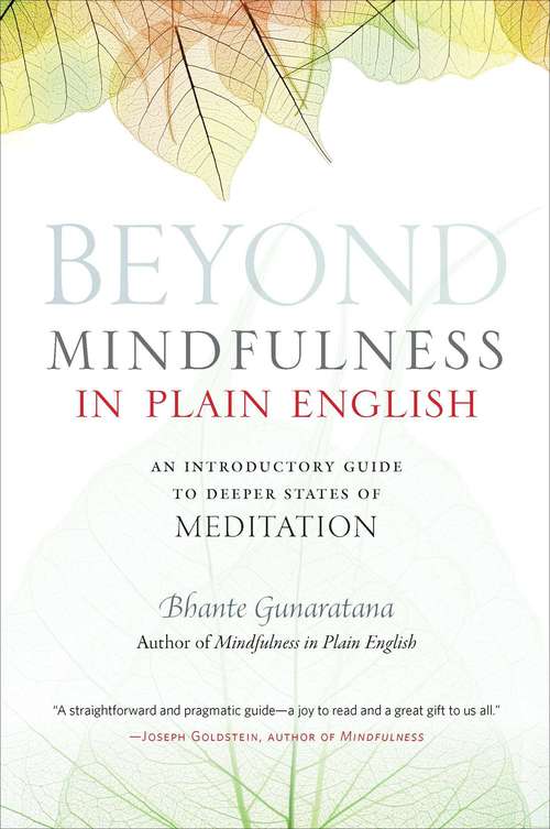 Book cover of Beyond Mindfulness in Plain English