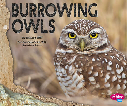 Book cover of Burrowing Owls