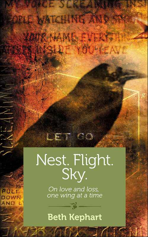 Book cover of Nest. Flight. Sky.: On Love and Loss, One Wing at a Time