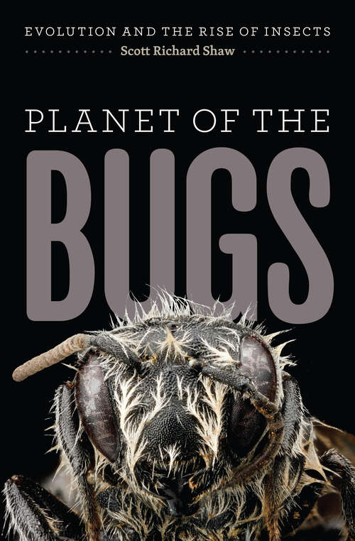 Book cover of Planet of the Bugs: Evolution and the Rise of Insects