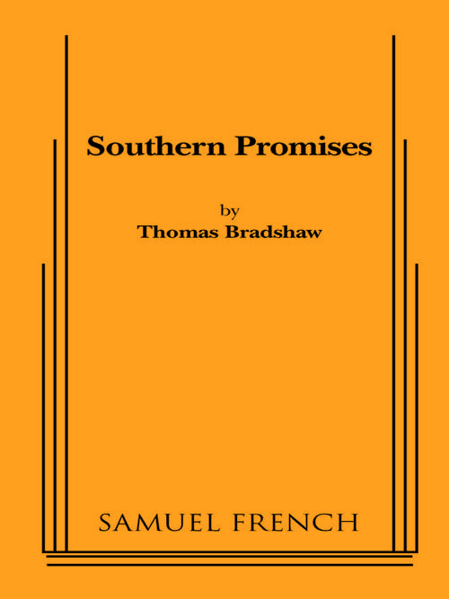Book cover of Southern Promises