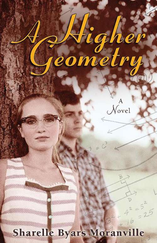 Book cover of A Higher Geometry